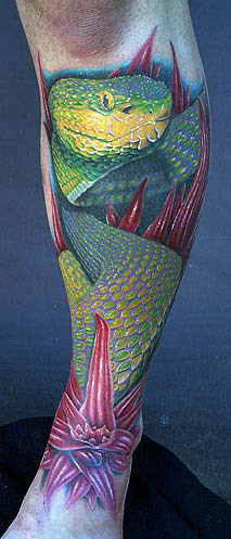 Tattoos - Viper Snake - 16575